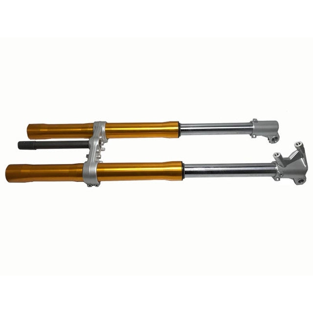 Horquilla delantera completa d. 40mm Rieju 50 MRT/MRX/SMX / 125 Marathon