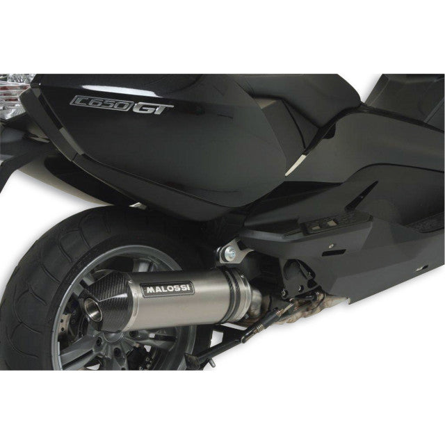 Escape BMW C GT 650 ie 4T LC euro 3 <2015 Malossi Maxi Wild Lion