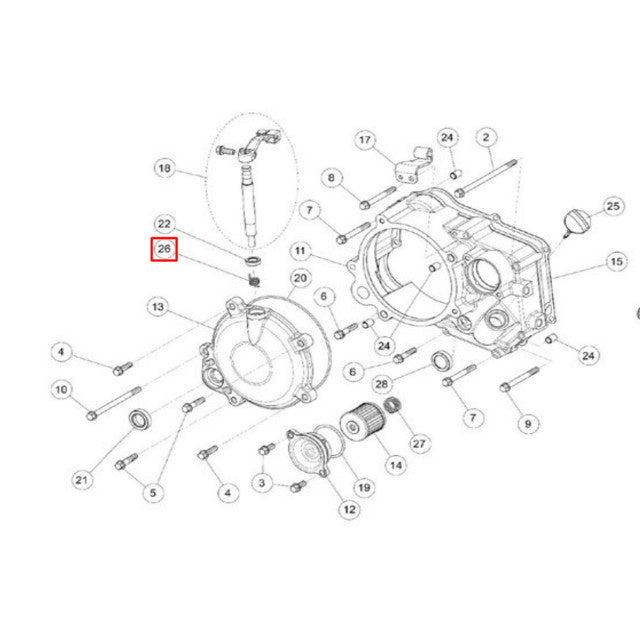 Muelle leva de embrague motor Daytona Anima