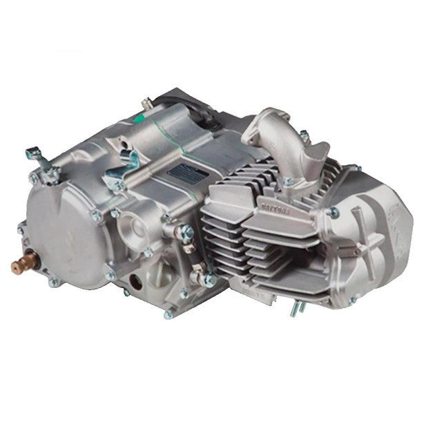 Motor completo Pitbike Daytona Anima 190SYS