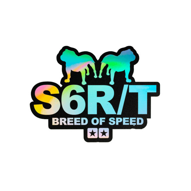 Pegatina holografica 115x85mm Stage6 R/T