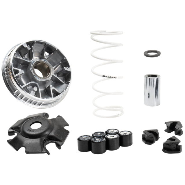 Variador Malossi Multivar 2000 Kymco Skytown 125 euro 5 >2025