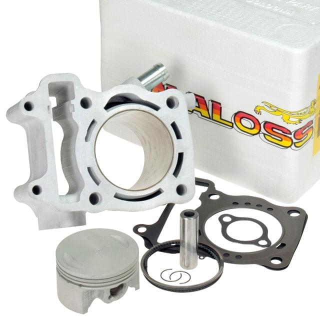 Cilindro Malossi 4T 61mm. 172cc, Honda @ / Dylan / SH / Pantheon 150cc