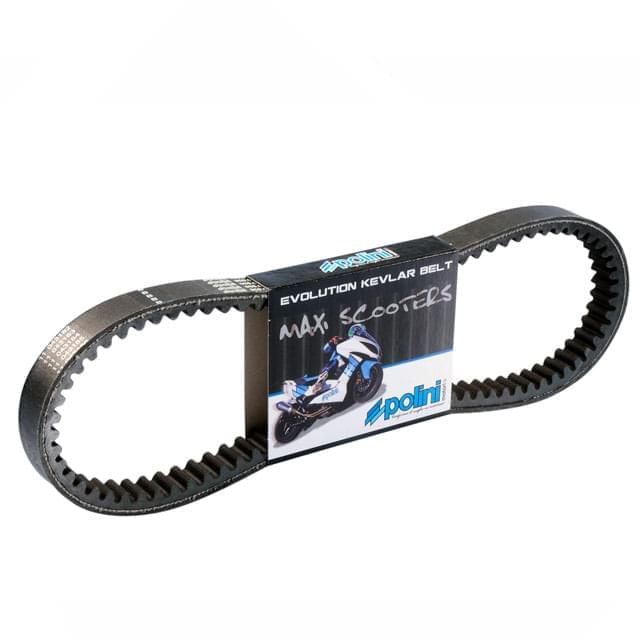 Correa Polini X MAX 250