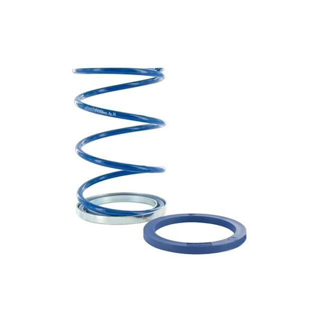 Muelle de contraste Polini EVO-Slider, Minarelli d.3.6