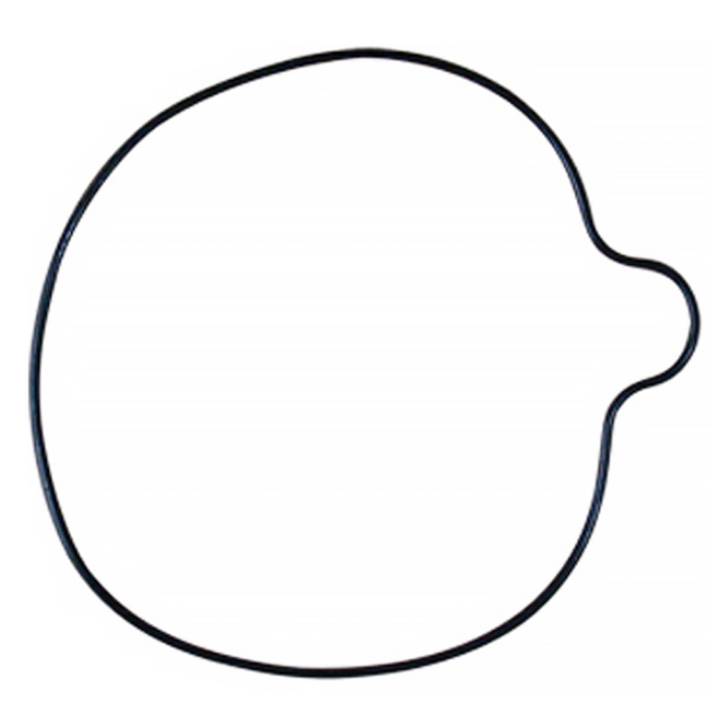 Junta tórica tapa pequeña embrague Pitbike motor Daytona Anima