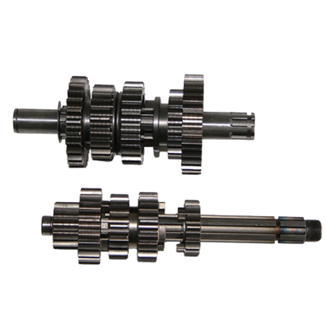 Caja de cambios 5 velocidades Pitbike motor 190 Daytona anima