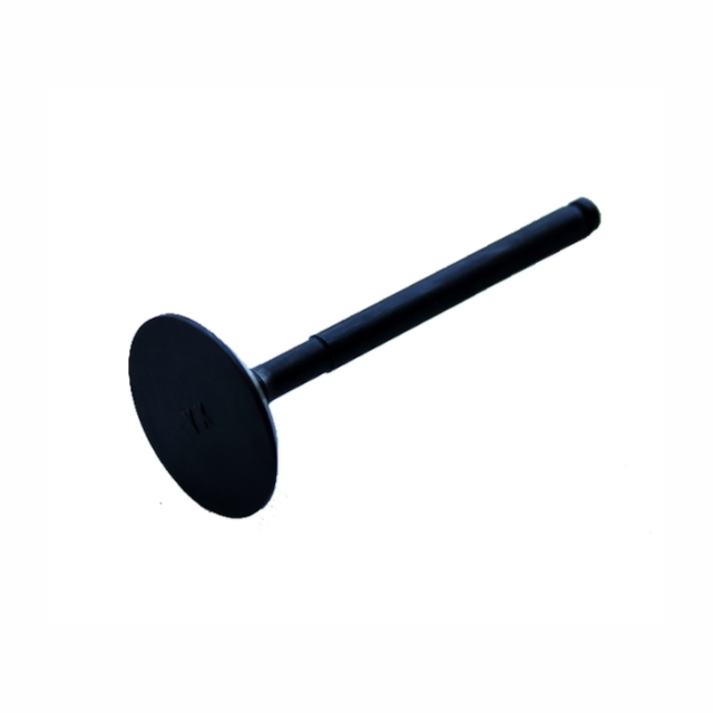 Válvula de admisión YX/ZS 150 28x73x5.5mm Pitbike YCF