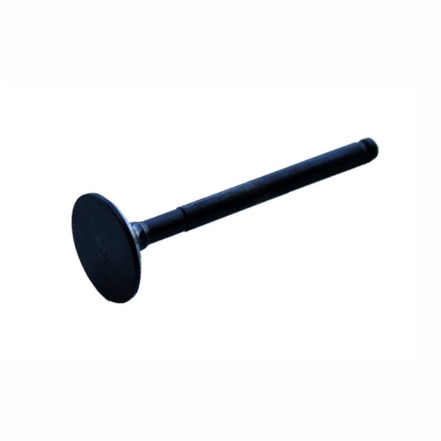 Válvula de escape YX KLX 150 23x71.6x5.5mm Pitbike YCF