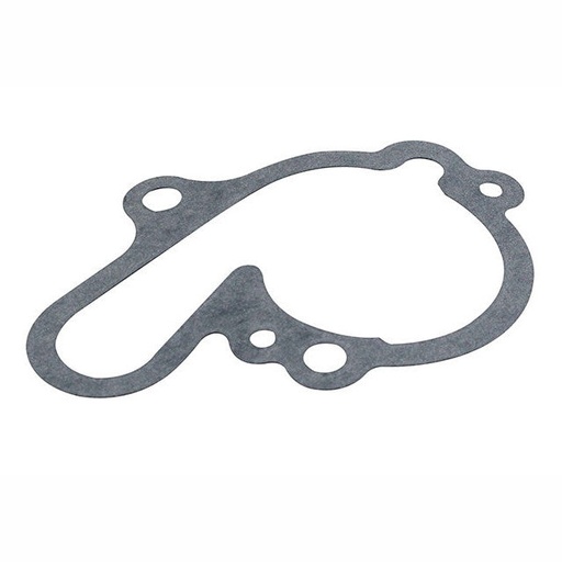 [AP35GWP188] Junta bomba de agua Minarelli AM6 AllPro