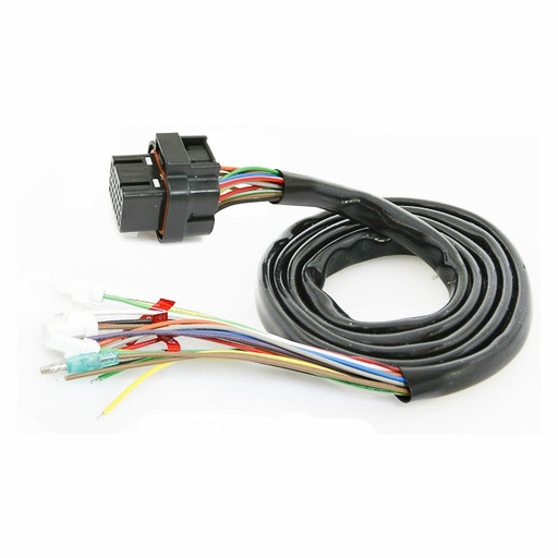 [BO015000] Cableado principal marcador Koso RX2N