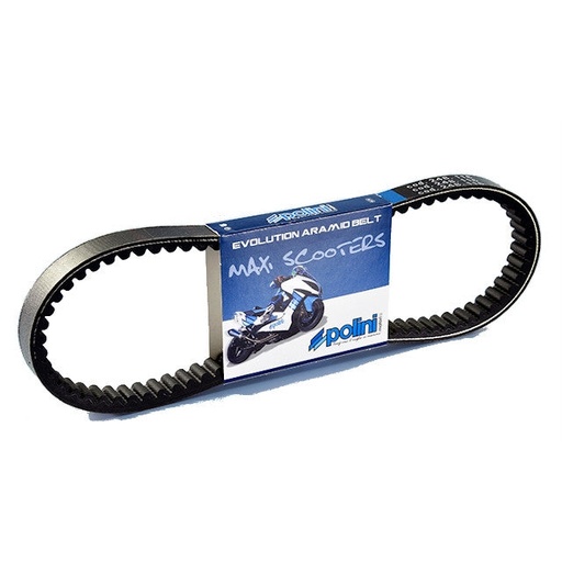 [248.099] Correa Sym VS 125/150 Polini 