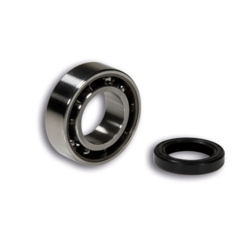 [6619313] Cojinete y retén específico cigüeñal PK en cárter Primavera Malossi