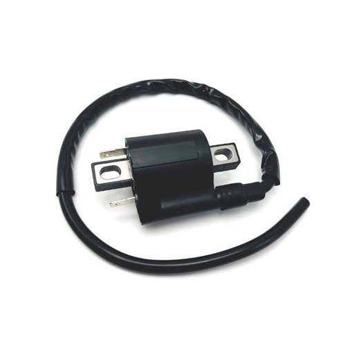 [AP50CD10.520] Bobina Yamaha Neo's 50 4T / X-max 125-250-400 / YBR 125 AllPro