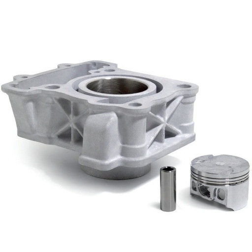 [02410558] Cilindro KTM Duke 125cc 10-24 Airsal
