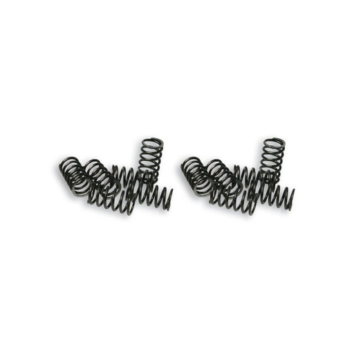 [2916649] Muelles de embrague Malossi Vespa PK FL 125 2T