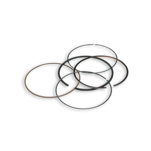 [3513917] Segmentos Malossi d=75,5mm