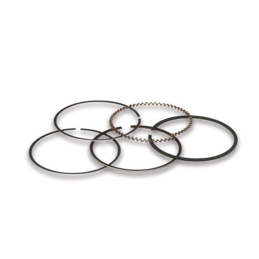 [3519087] Segmentos Malossi d=49mm