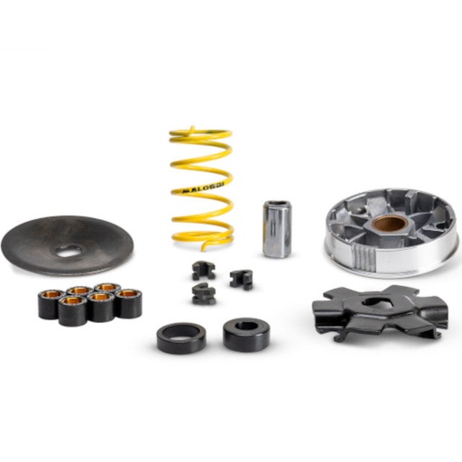 [513863] Variador Malossi Multivar Piaggio Ciao 2T