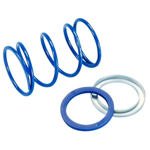 [243.112] Muelle de contraste Piaggio / Minarelli EVO 4,6 Polini