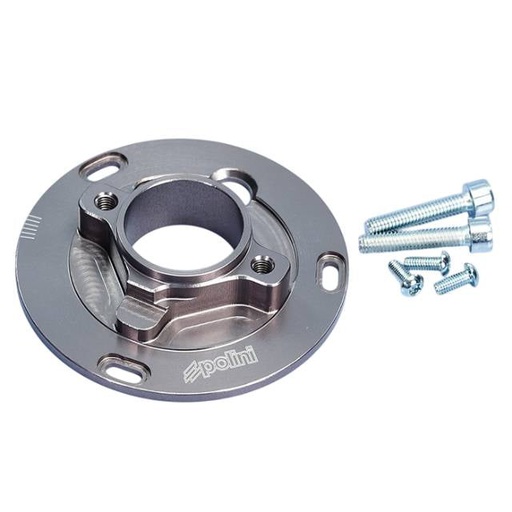 [171.0690] Pletina encendido Puch Maxi Polini