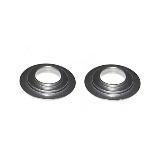 [AP100PB20ZS190.VLV.05] Asiento de muelle de valvula motor ZS190 Zongshen 2 ud. Pitbike AllPro