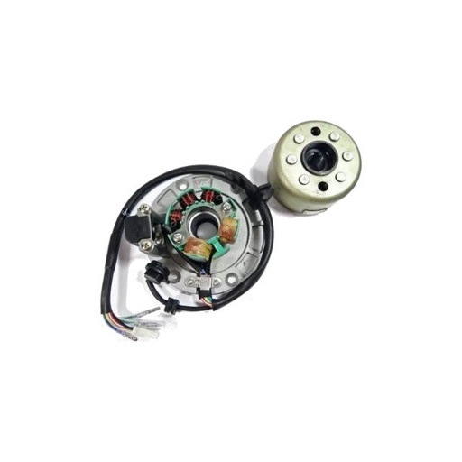 [AP100PB20ZS155.IGN.01] Encendido completo Z155 Pitbike AllPro
