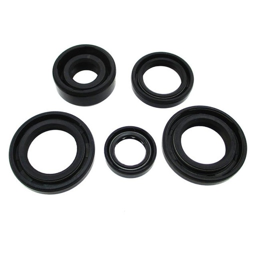 [AP100PB20ZS155.SEK] Kit retenes de motor ZS155 Pitbike AllPro
