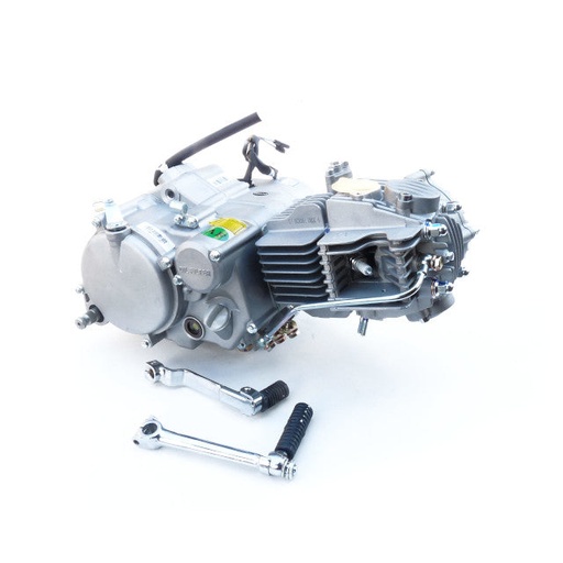 [AP100PB10YX160] Motor YX160 Yinxiang Pitbike AllPro