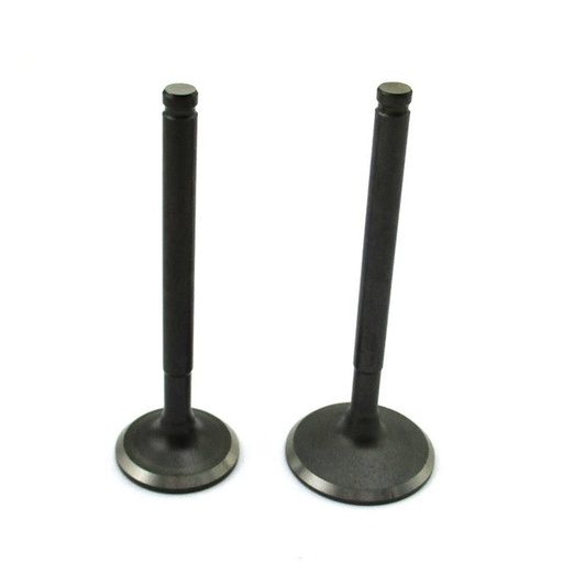 [AP100PB20ZS155.VLV] Valvulas Z155 Pitbike AllPro