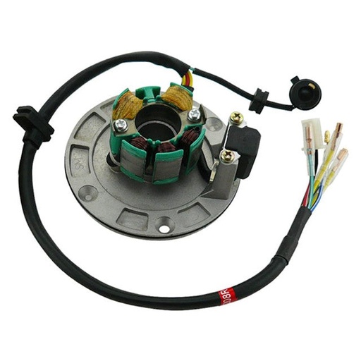 [AP100PB20ZS155.IGN.05] Stator Z155 Pitbike AllPro