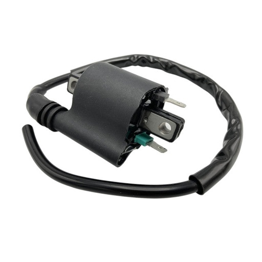 [AP50CD10.572] Bobina Honda SH 125-150 09-19 / X-Max 400 >2017 AllPro