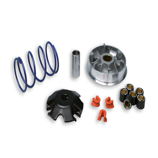 [5111558] Variador Malossi MULTIVAR 2000, Modelos 100: Speedfight,Elyseo,Trekker,Vivacity- a partir del  9/1999