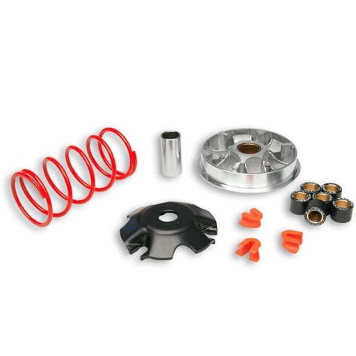 [5116287] Variador Malossi Multivar 2000 Yamaha D’Elight 125 4T euro 3 (E3M5E)