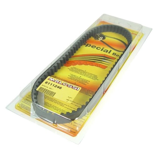 [6111164] Correa, Malossi, Derbi/Morini (Derbi Paddock/Predator/Atlantis) 16X8X832mm  - angolo 26°