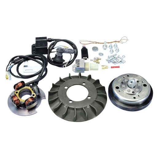 [171.0545] Encendido variable Vespa Primavera/Super/SL 1,2kg Polini