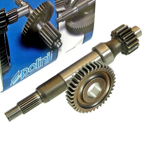 [202.1405] Transmisión primaria Polini, 15/38, Piaggio ZIP SP M.2000