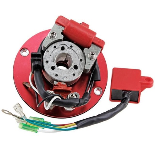 [RINTERNE] Rotor Pitbike motor YX o Motor ZongShen, 155Z