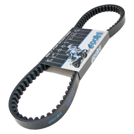 [248.004] Correa Polini, motor Minarelli corto (Aprilia Sonic/Malaguti F10/ Neos 50cc 4T)