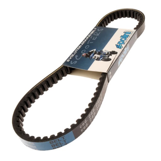 [248.040.2] Correa Morini / Minarelli horizontal largo 50cc Polini EVO