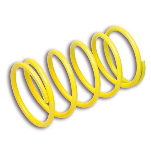 [299975.Y0] Muelle de contraste Malossi Yamaha X-Max 250cc, Majestic 250cc