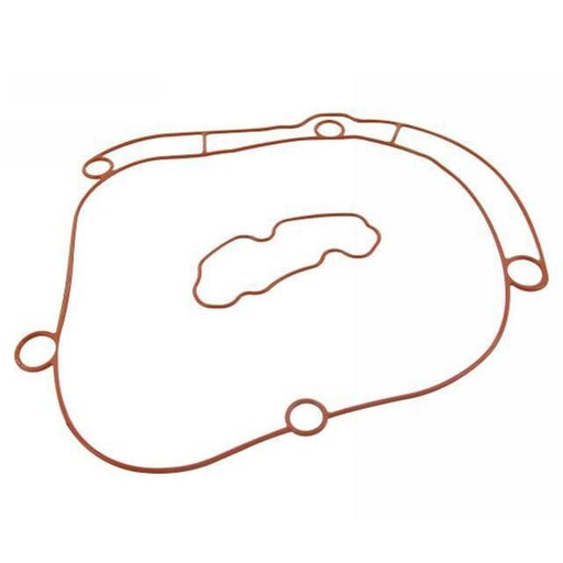 [S6-22140ET01] Junta tórica para Tapa de transmisión Stage6 R/T, Piaggio