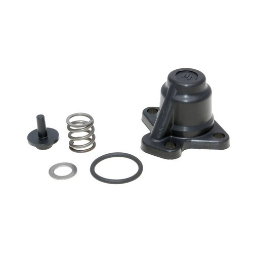 [315.0027] Valvula de inyección para cilindro Polini Aprilia Di-Tech Motor