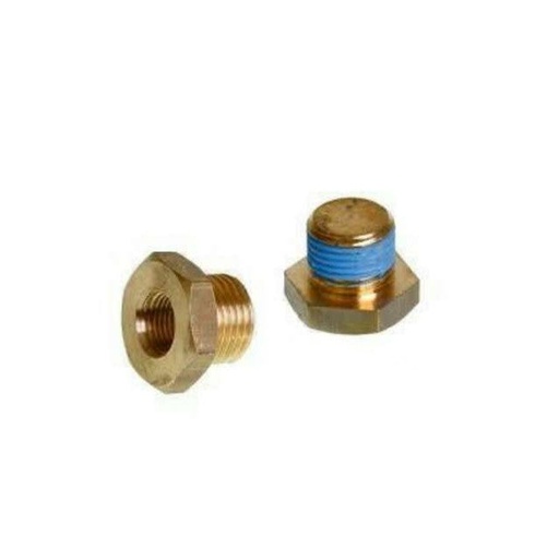 [9910050] Tornillo adaptador Sensor Tempratura culata AM6 TopPerformances