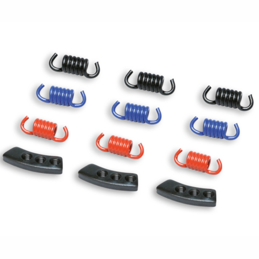 [298747] Muelles de mordazas de embrague Racing Malossi Fly / Delta Clutch