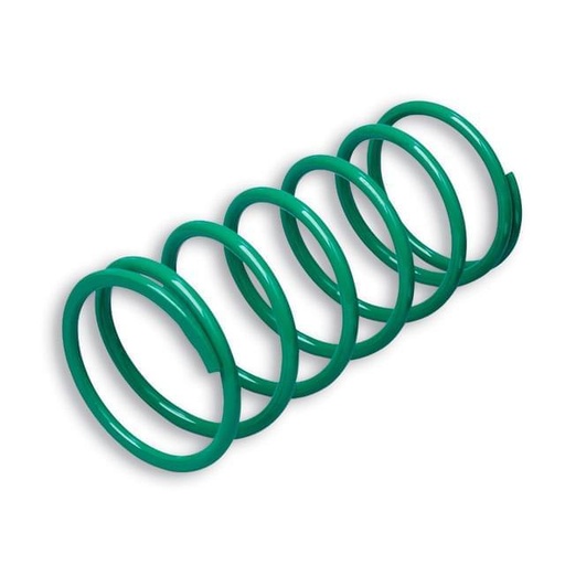 [2914401.G0] Muelle de contraste Malossi T-max verde