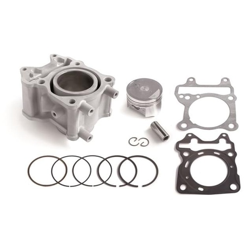[020481524] Cilindro Honda SH 125i PCX 125i >2013 Airsal