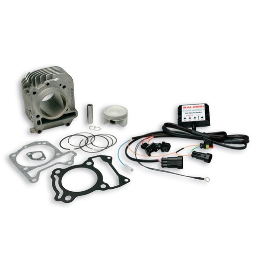 [3116669] Cilindro Piaggio Liberty 125/150 ie 3V / Vespa LX 125/150 a 182cc ie 3V Malossi