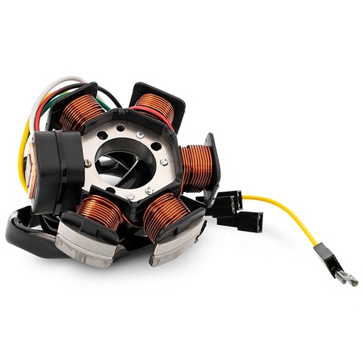 [AP50IG20.193] Stator encendido Derbi GPR/Senda 50 Aprilia RS 50 Allpro