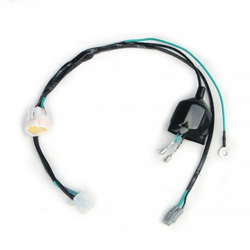 [YC110-1501-11] Cableado Pitbike YCF Lite Start Pilot SP Motor YX/ZS arranque pedal 